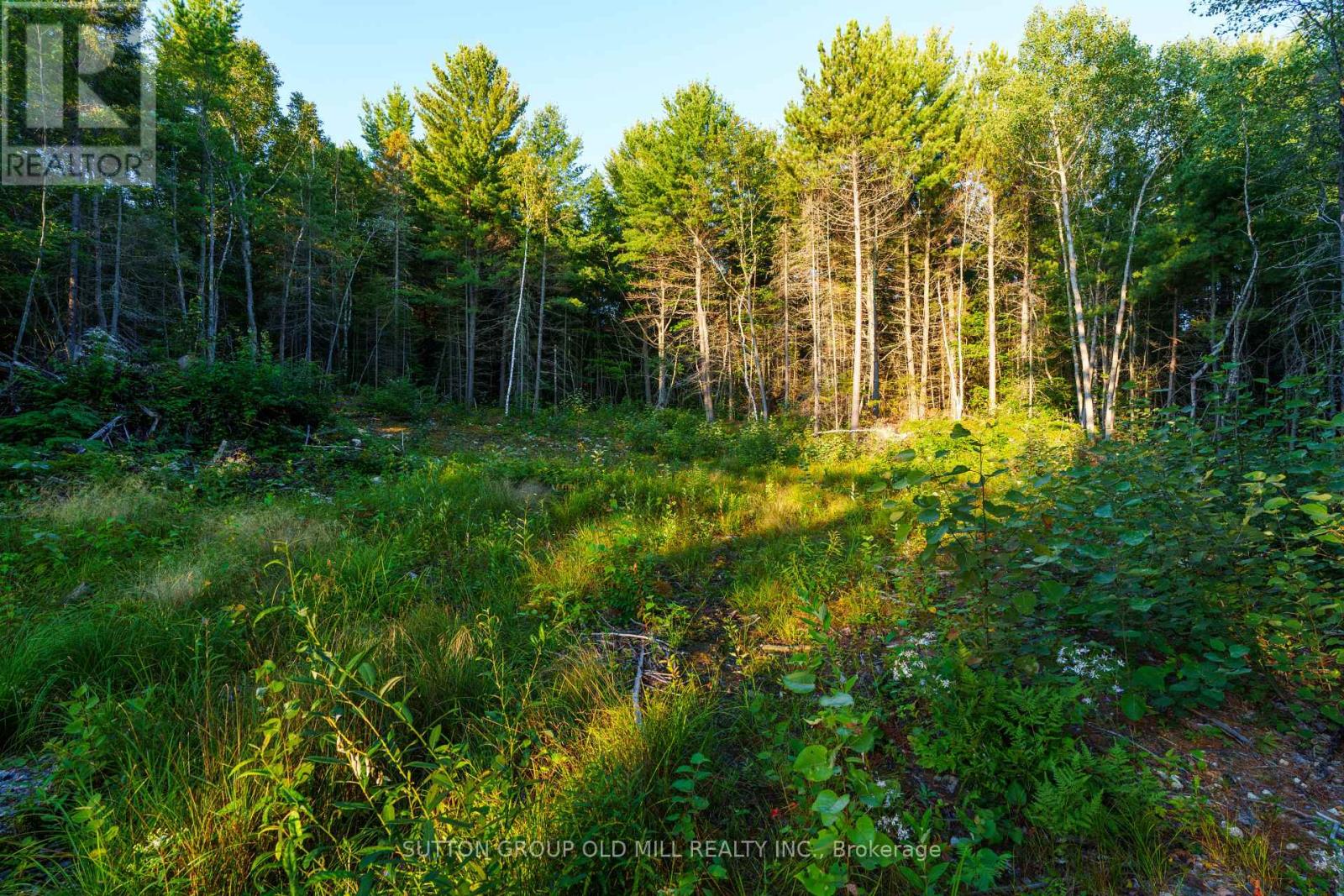0 Pt5,7,8 Lt61 West Bay Road, Greater Sudbury, Ontario  P3L 1V3 - Photo 15 - X12376995