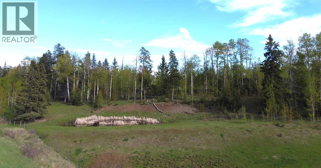 0 Nw9-33-5w5, Sundre, Alberta  T0M 1X0 - Photo 10 - A2253998
