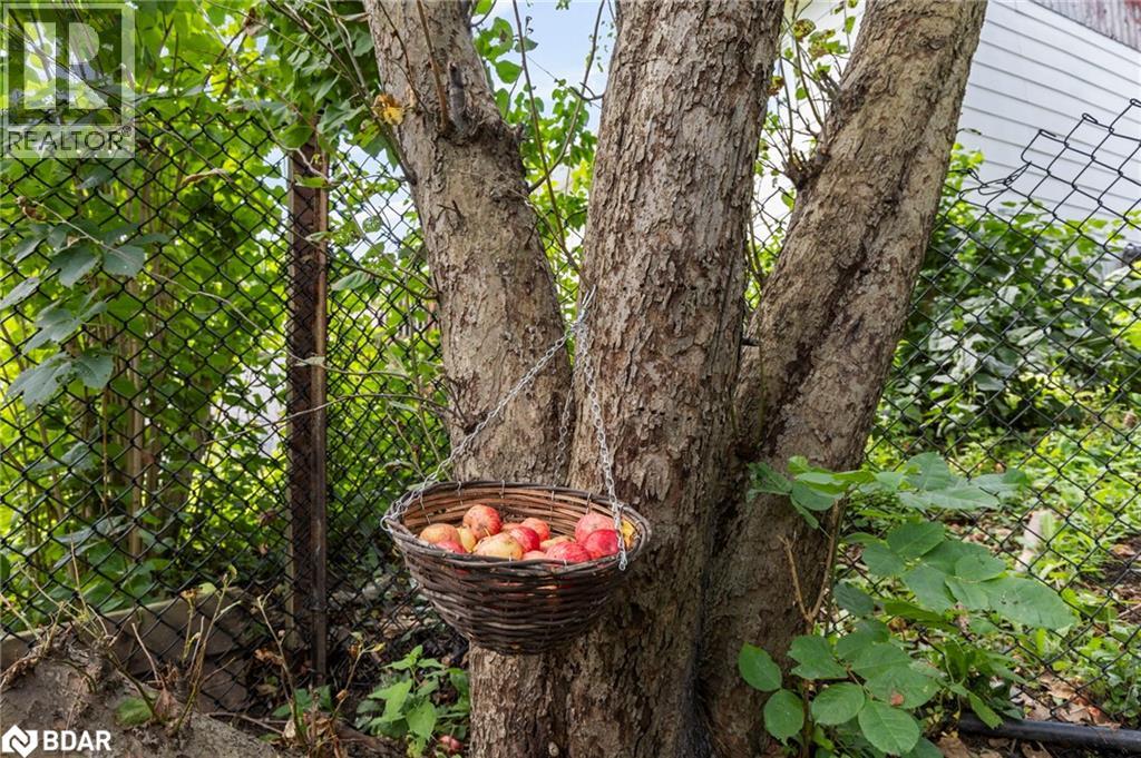 4297 Huronia Road, Orillia, Ontario  L3V 0G6 - Photo 38 - 40763638