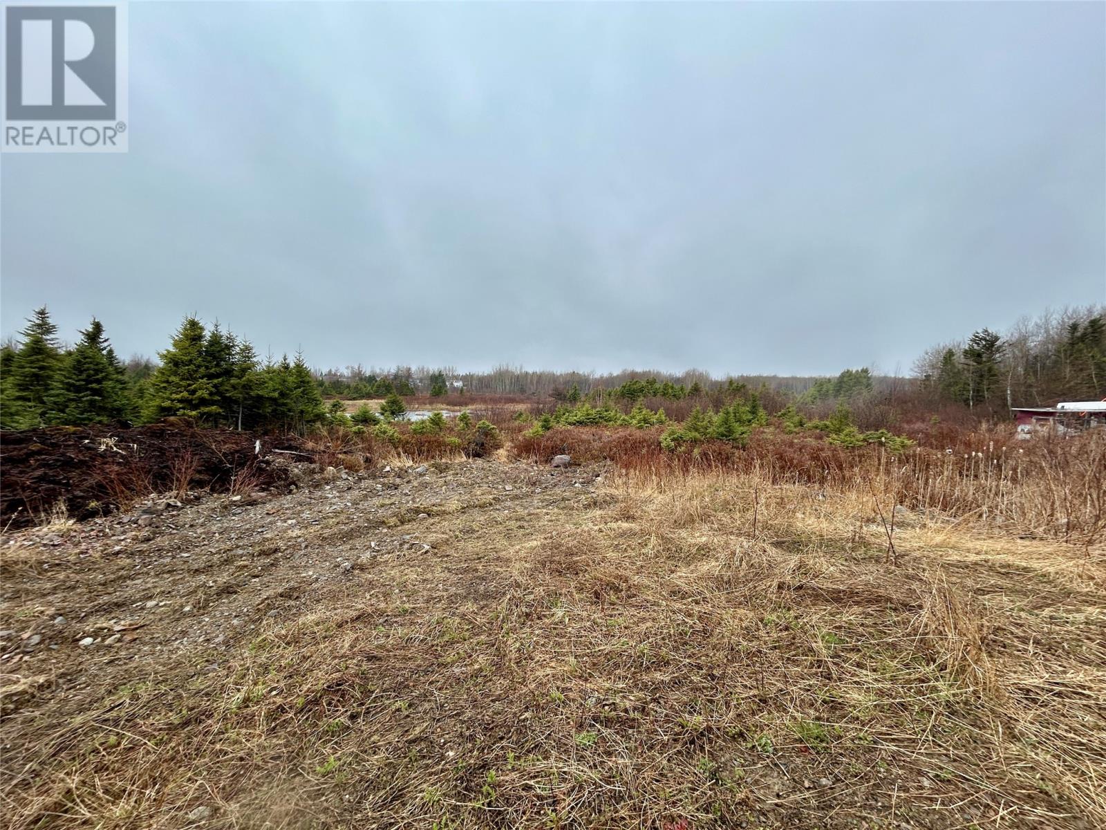 10 Kingston Road, Grand Falls-Windsor, Newfoundland & Labrador  A2B 1E3 - Photo 1 - 1289932