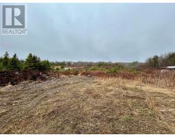 10 Kingston Road, Grand Falls-Windsor, Newfoundland & Labrador