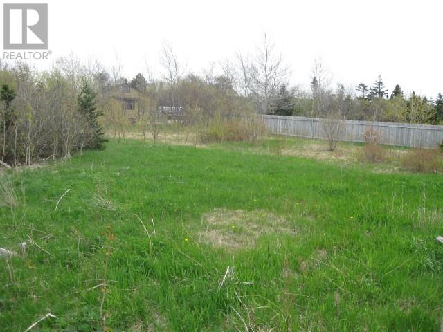 12-14 Forest Road, Conception Bay South, Newfoundland & Labrador  A1X 3G9 - Photo 5 - 1290025