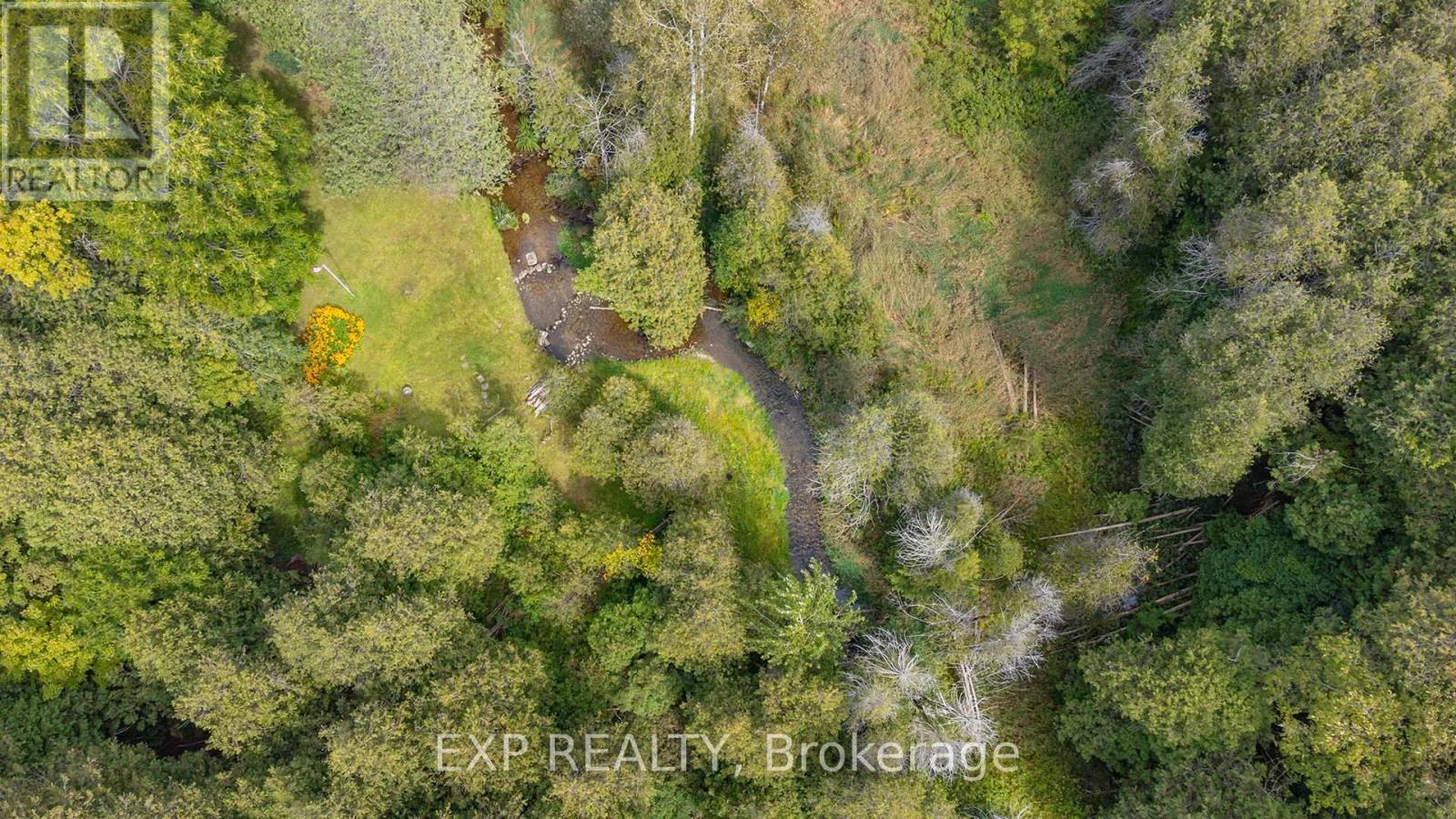 46 Sydenham Street S, Grey Highlands, Ontario  N0C 1E0 - Photo 34 - X12382996