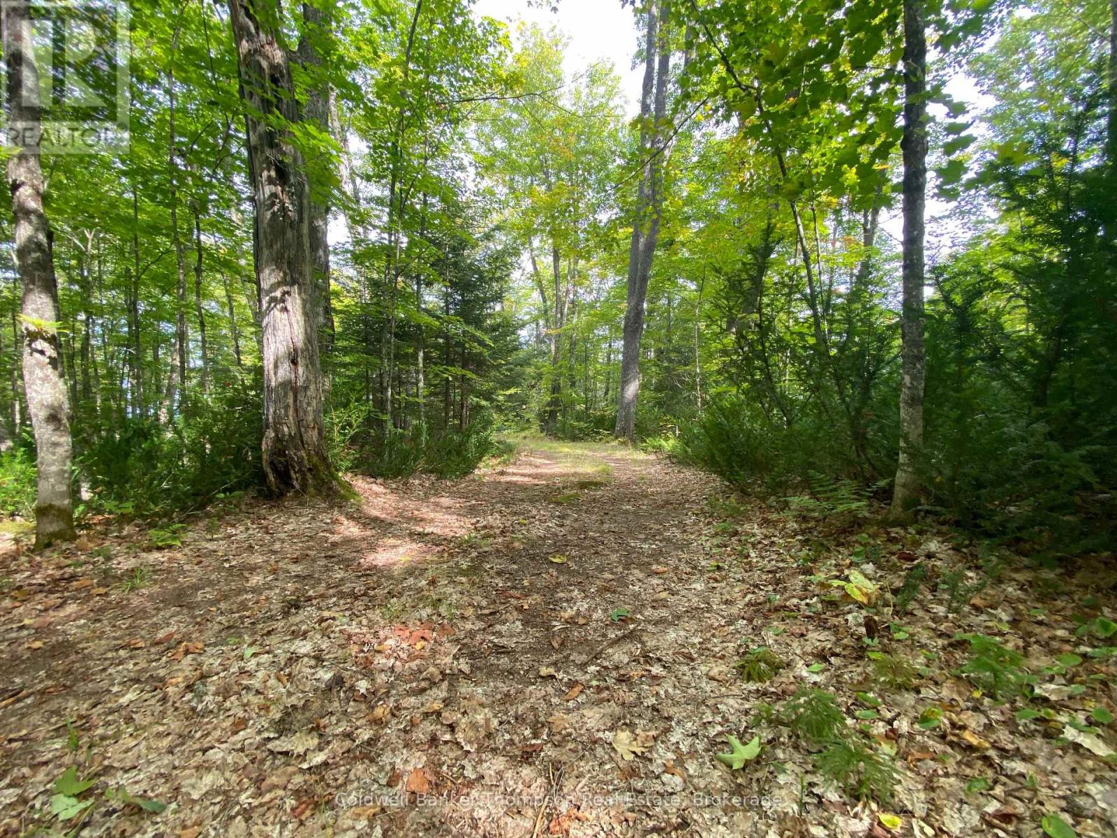 61 Andy Neville Parkway, Machar, Ontario  P0A 1X0 - Photo 10 - X12383053