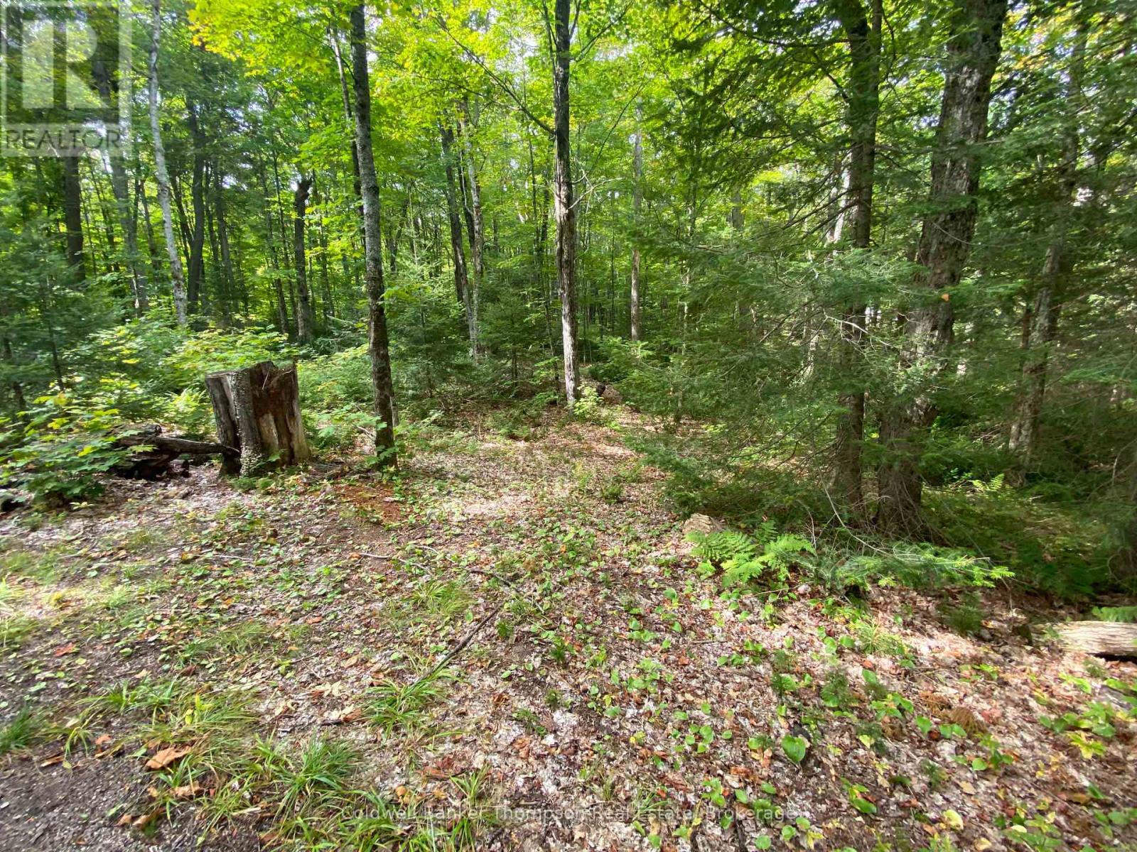 61 Andy Neville Parkway, Machar, Ontario  P0A 1X0 - Photo 15 - X12383053