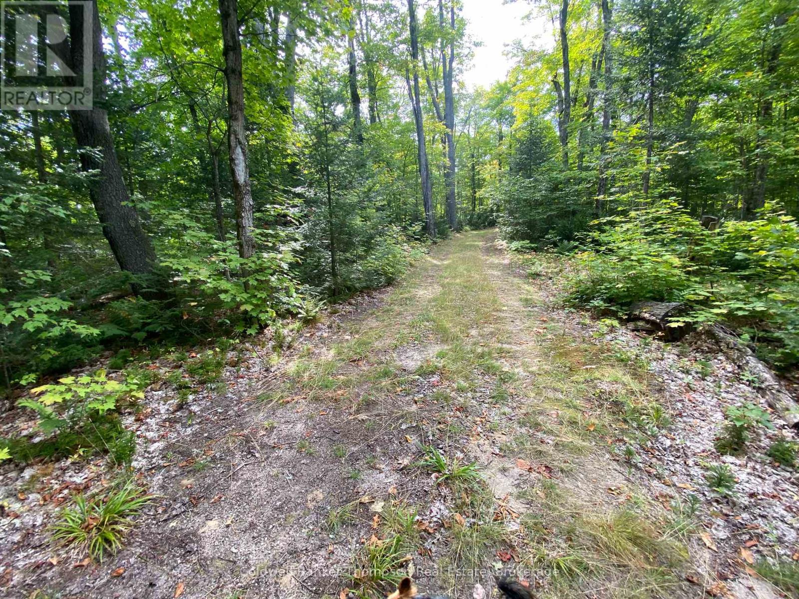 61 Andy Neville Parkway, Machar, Ontario  P0A 1X0 - Photo 16 - X12383053