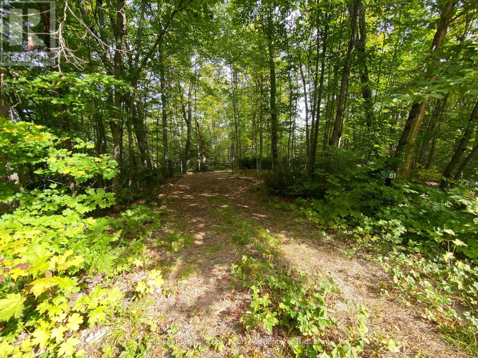 61 Andy Neville Parkway, Machar, Ontario  P0A 1X0 - Photo 6 - X12383053
