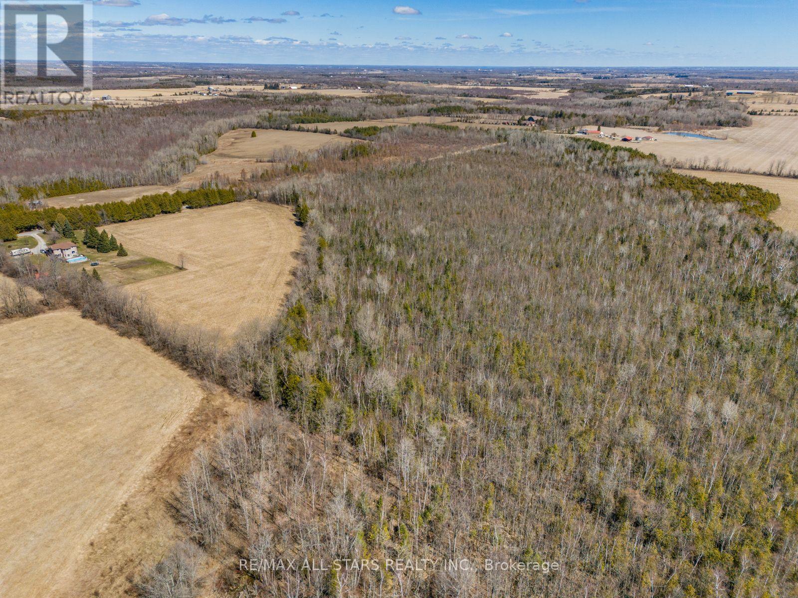 201 Royal Oak Road, Kawartha Lakes, Ontario  K0M 2J0 - Photo 14 - X12383167