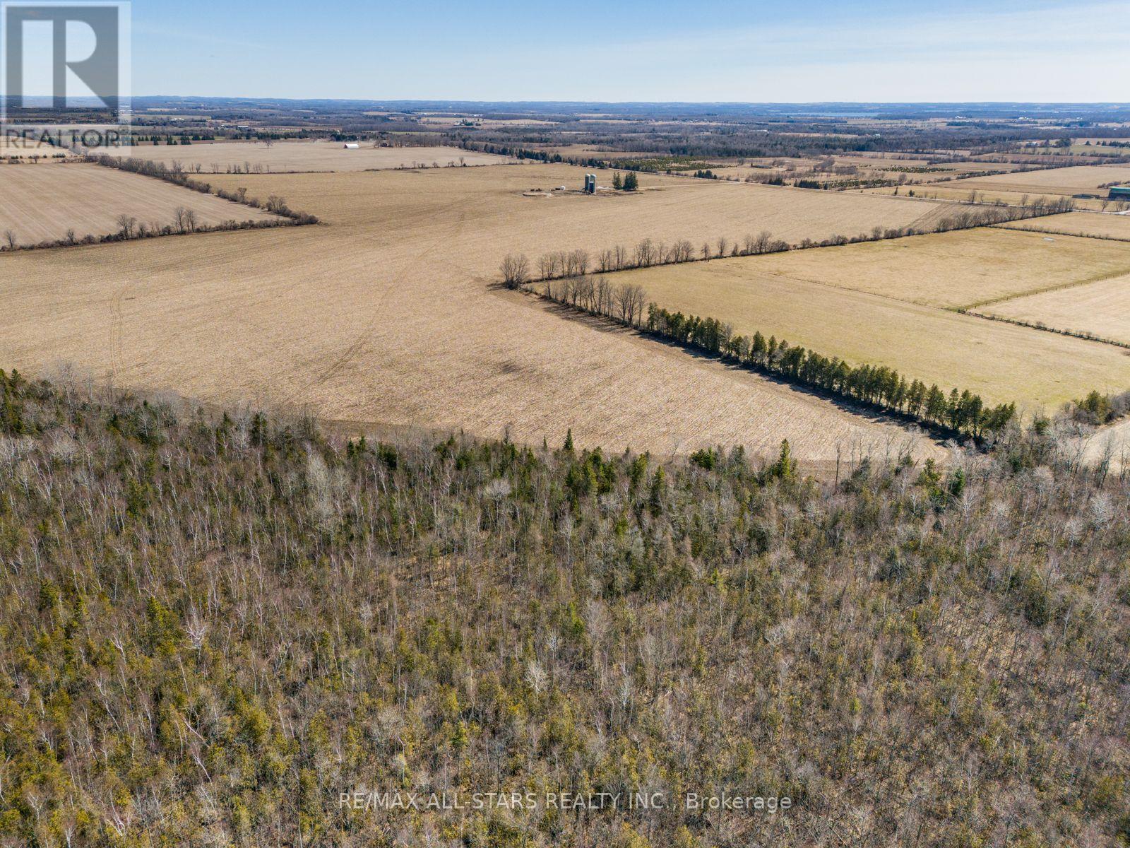 201 Royal Oak Road, Kawartha Lakes, Ontario  K0M 2J0 - Photo 15 - X12383167