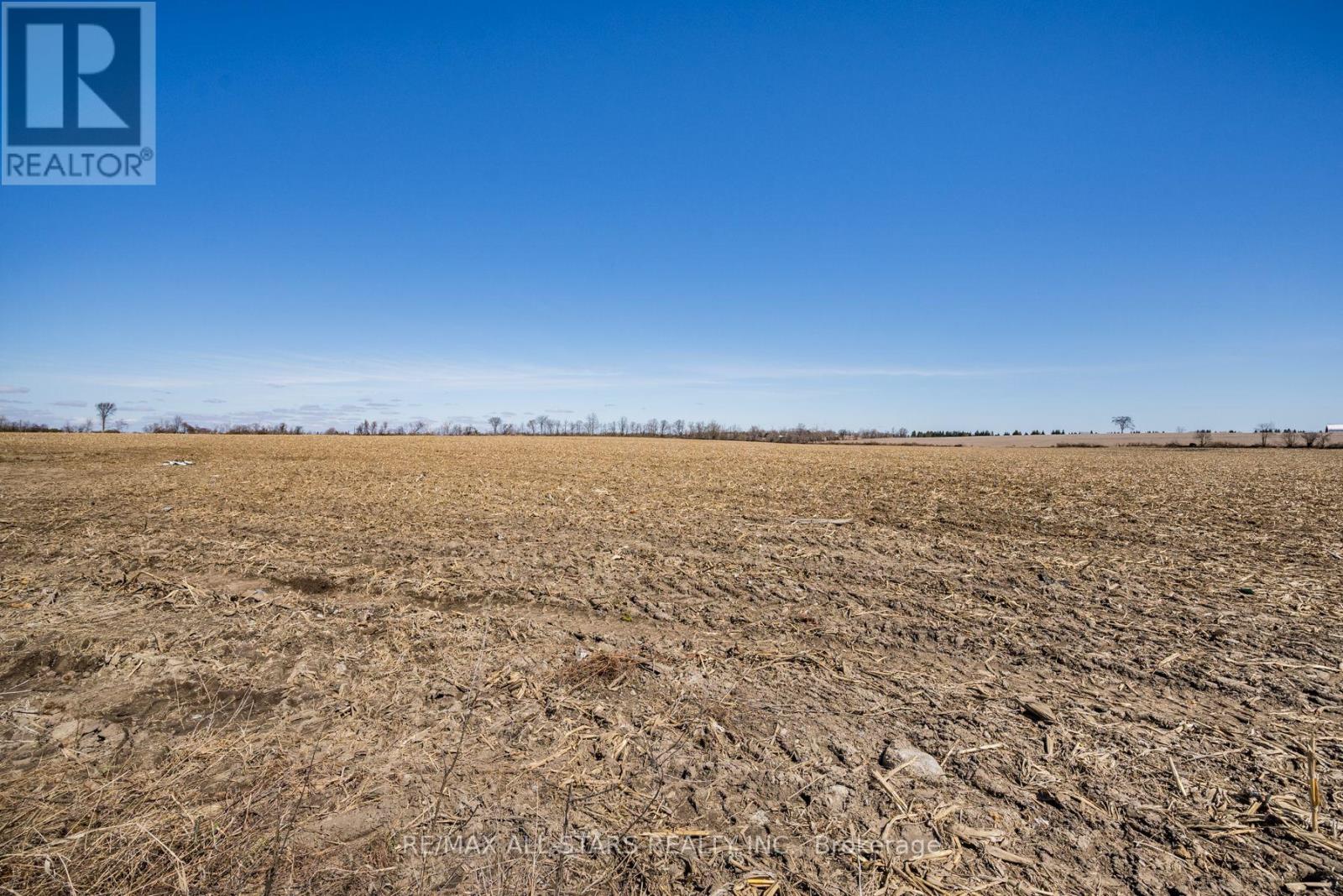201 Royal Oak Road, Kawartha Lakes, Ontario  K0M 2J0 - Photo 6 - X12383167