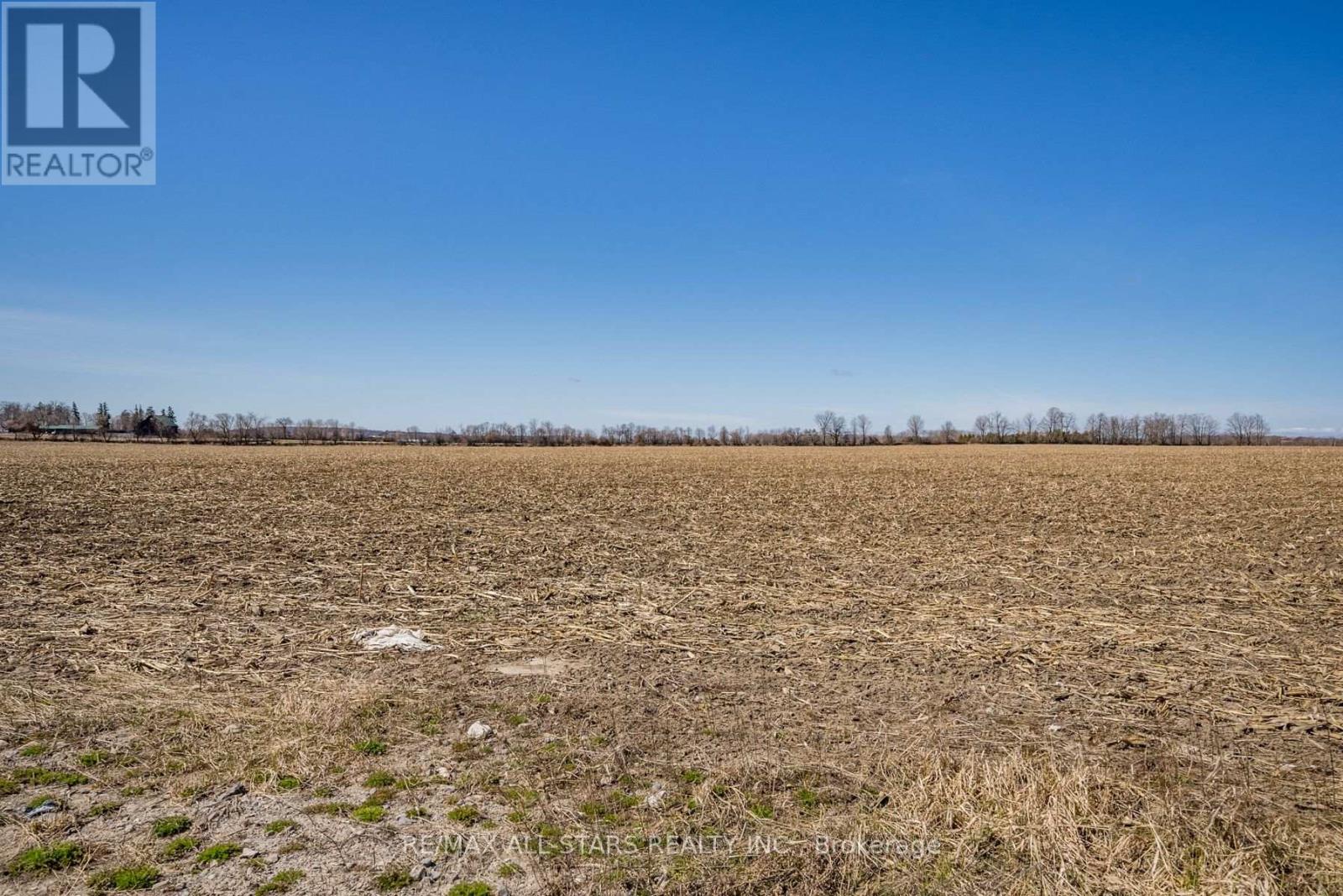 201 Royal Oak Road, Kawartha Lakes, Ontario  K0M 2J0 - Photo 7 - X12383167