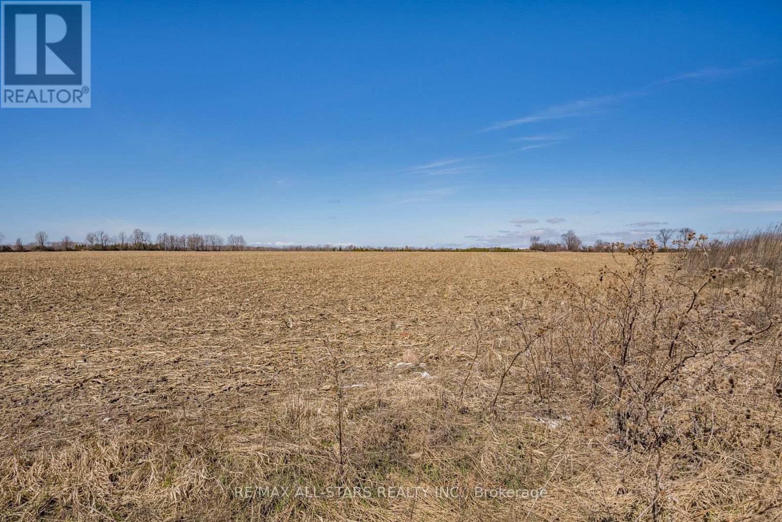 201 Royal Oak Road, Kawartha Lakes, Ontario  K0M 2J0 - Photo 8 - X12383167