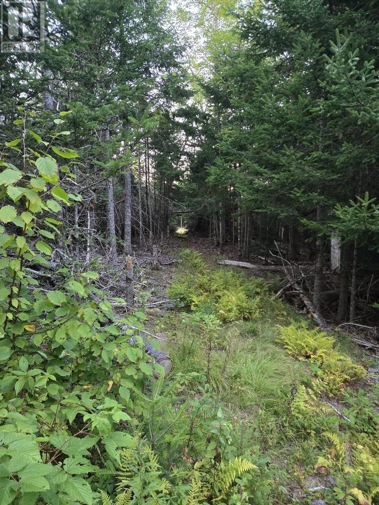 Union 1 Road Greenfield, Greenfield, Nova Scotia  B6L 4L8 - Photo 10 - 202522465