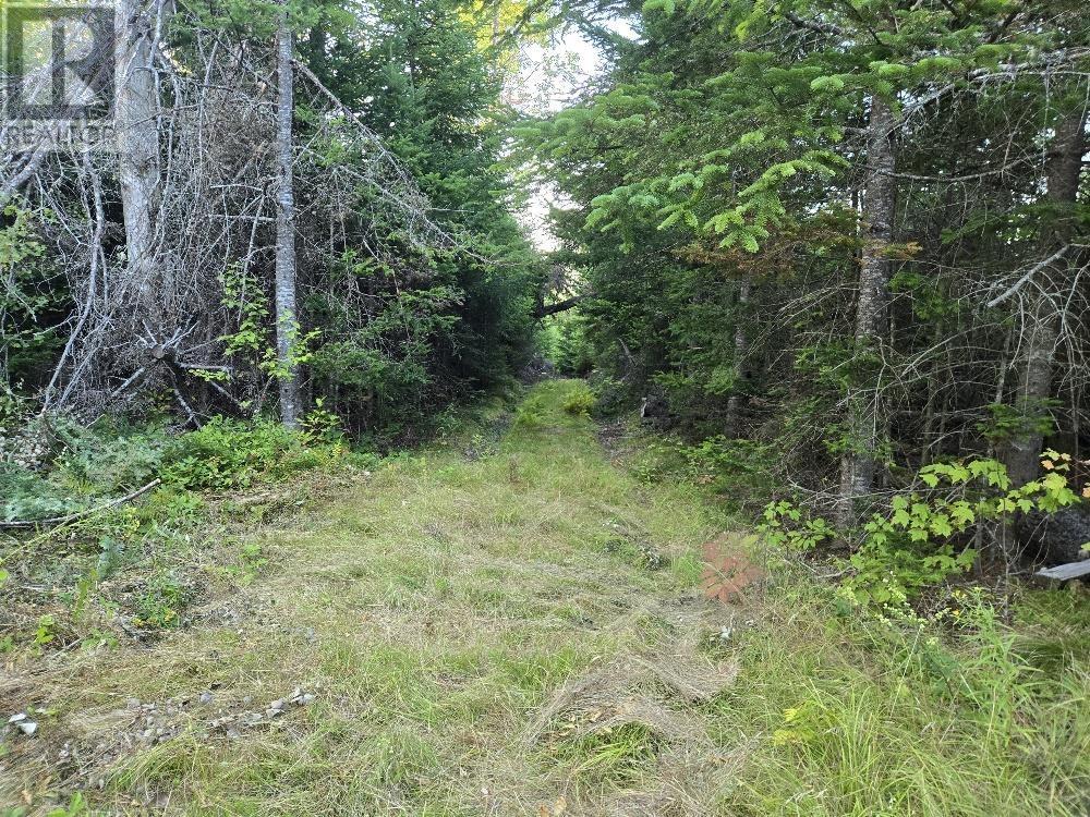 Union 1 Road Greenfield, Greenfield, Nova Scotia  B6L 4L8 - Photo 6 - 202522465