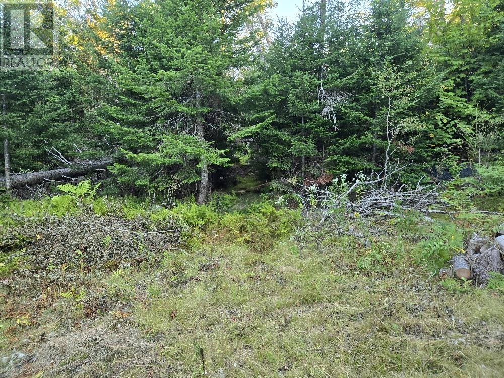 Union 1 Road Greenfield, Greenfield, Nova Scotia  B6L 4L8 - Photo 7 - 202522465