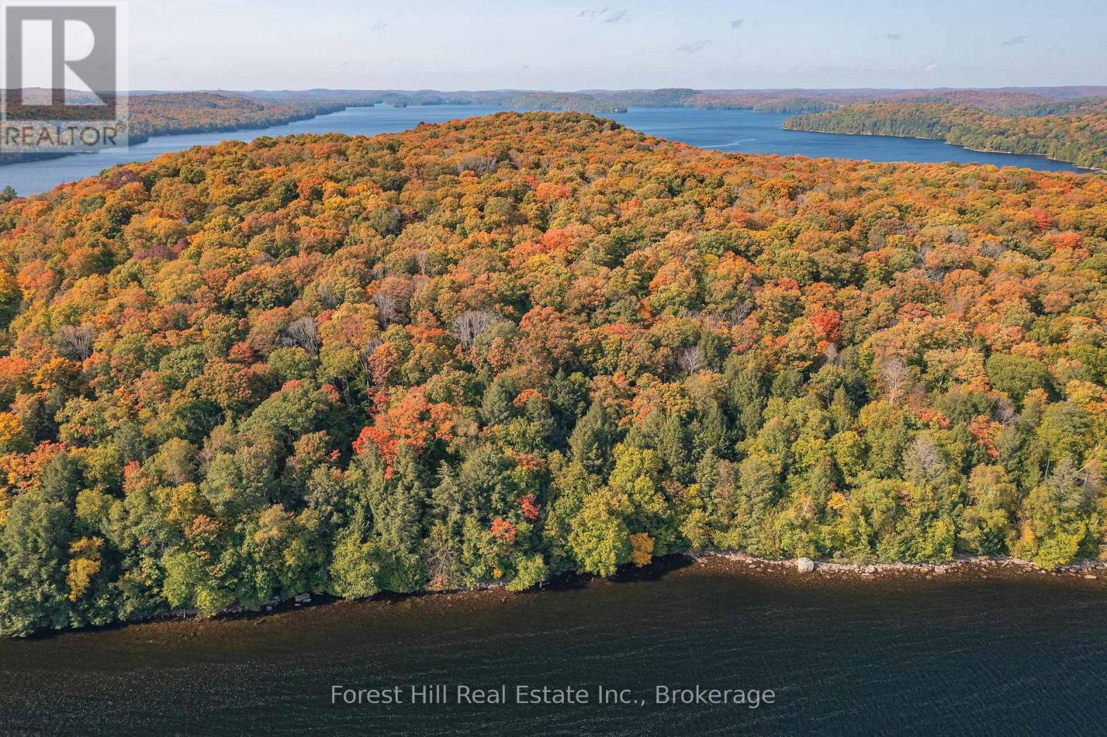 0 Bear Island, Dysart Et Al, Ontario  P0A 1E0 - Photo 25 - X12383204