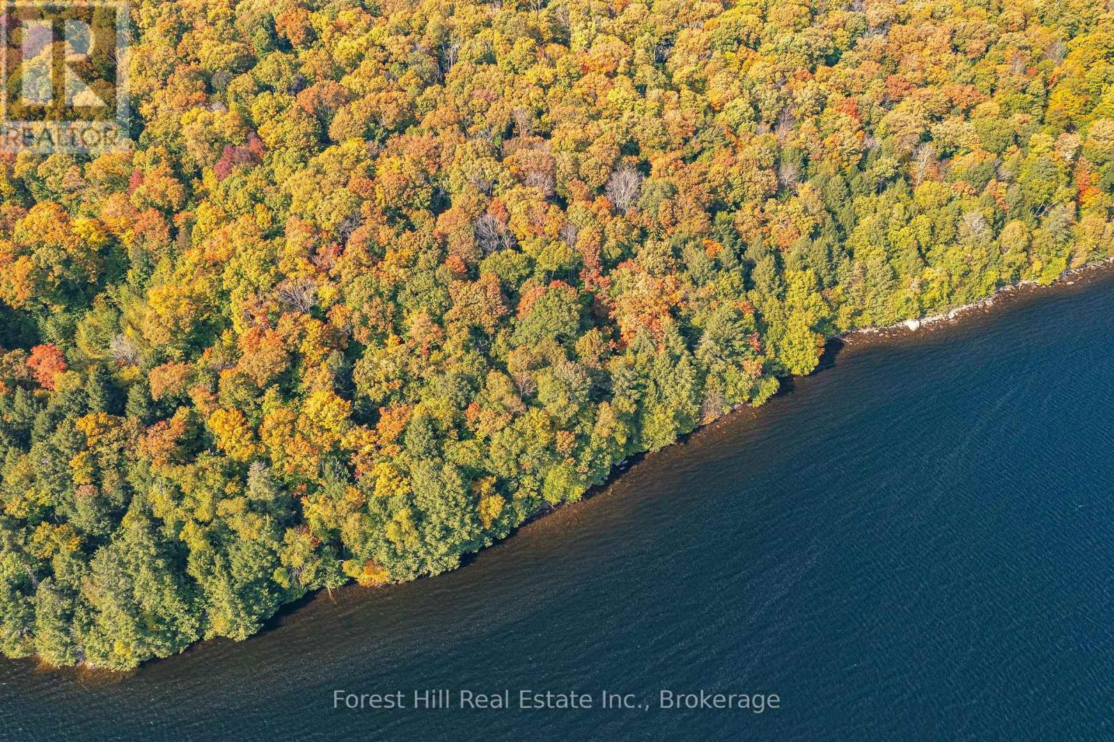 0 Bear Island, Dysart Et Al, Ontario  P0A 1E0 - Photo 31 - X12383204