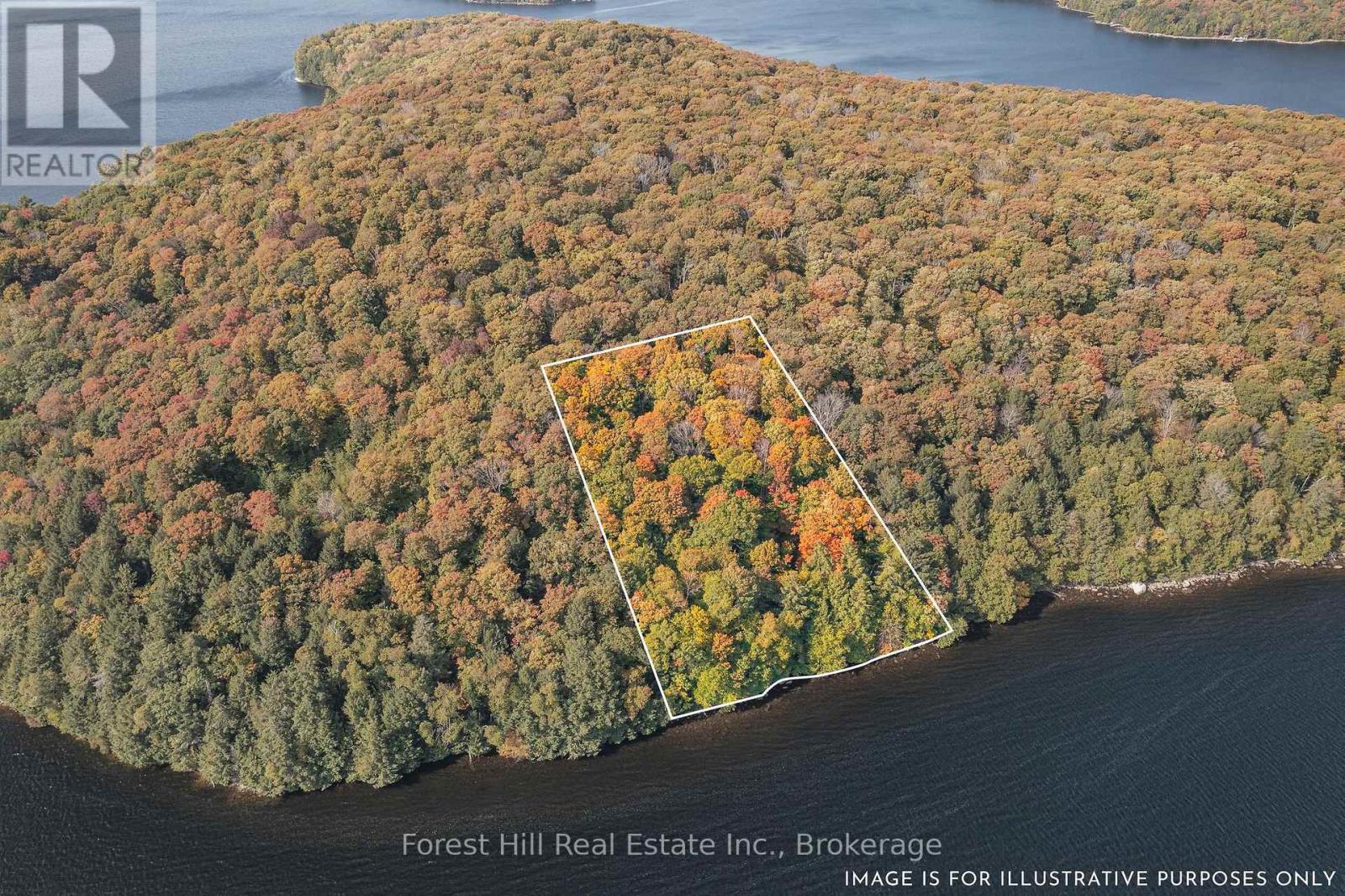 0 Bear Island, Dysart Et Al, Ontario  P0A 1E0 - Photo 4 - X12383204