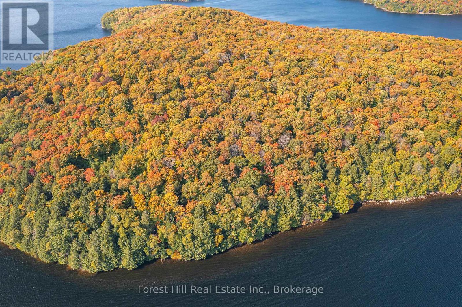 0 Bear Island, Dysart Et Al, Ontario  P0A 1E0 - Photo 5 - X12383204