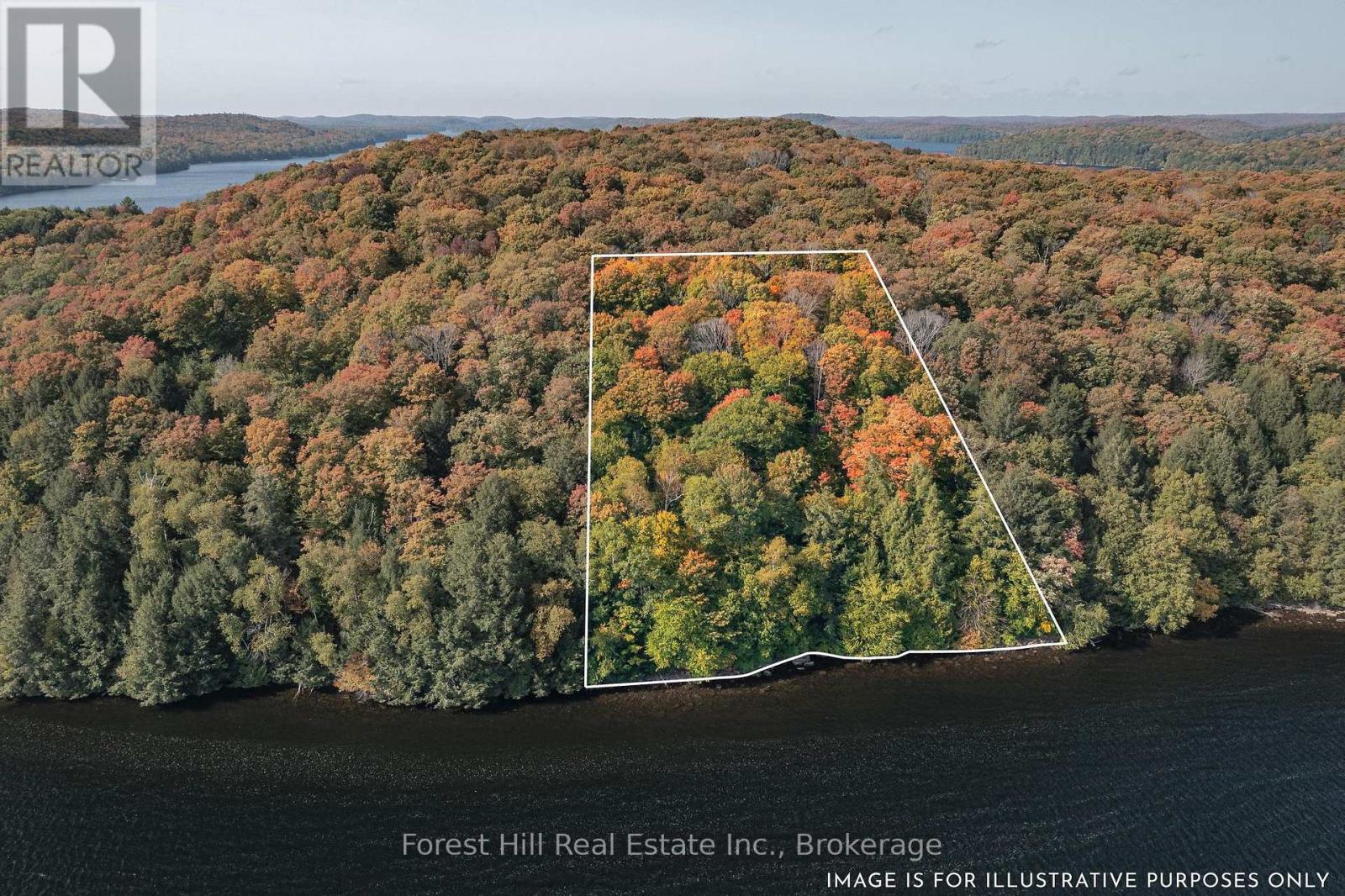 0 Bear Island, Dysart Et Al, Ontario  P0A 1E0 - Photo 6 - X12383204