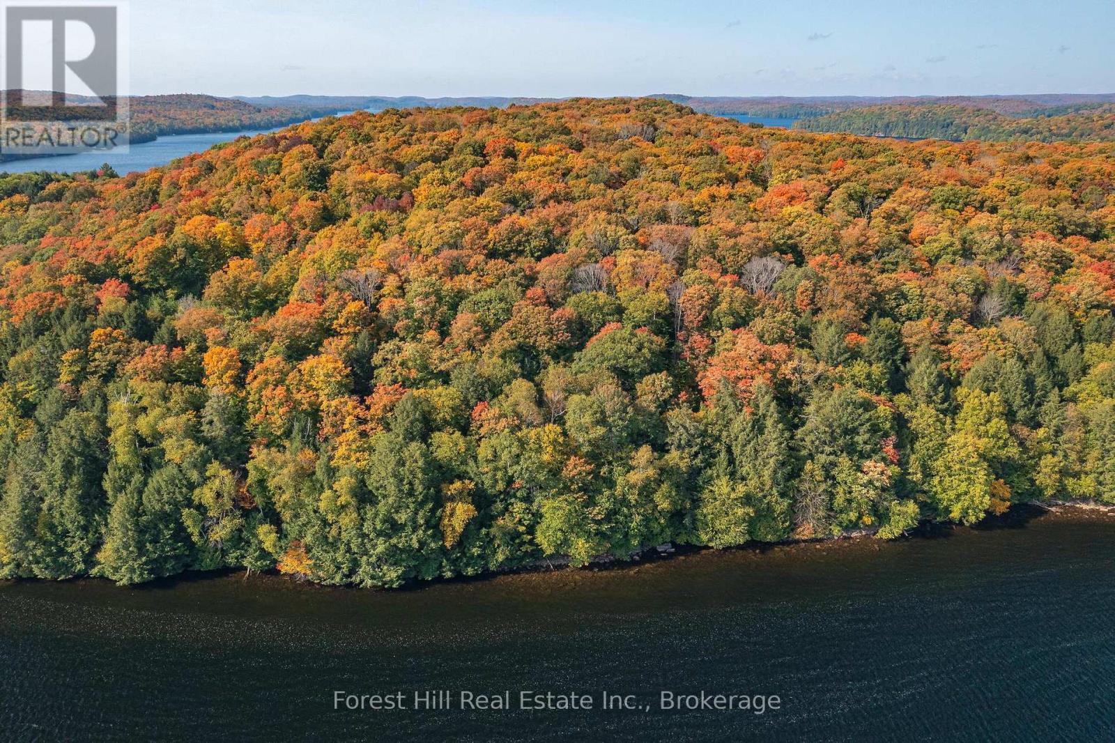0 Bear Island, Dysart Et Al, Ontario  P0A 1E0 - Photo 7 - X12383204