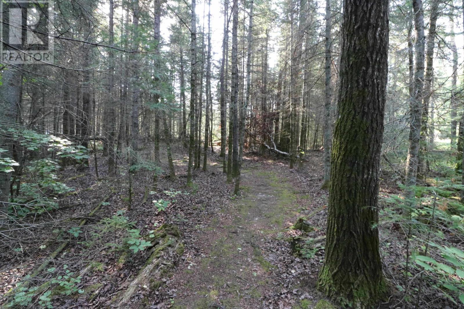 S882 Winnipeg River, Minaki, Ontario  P0X 1J0 - Photo 47 - TB252732