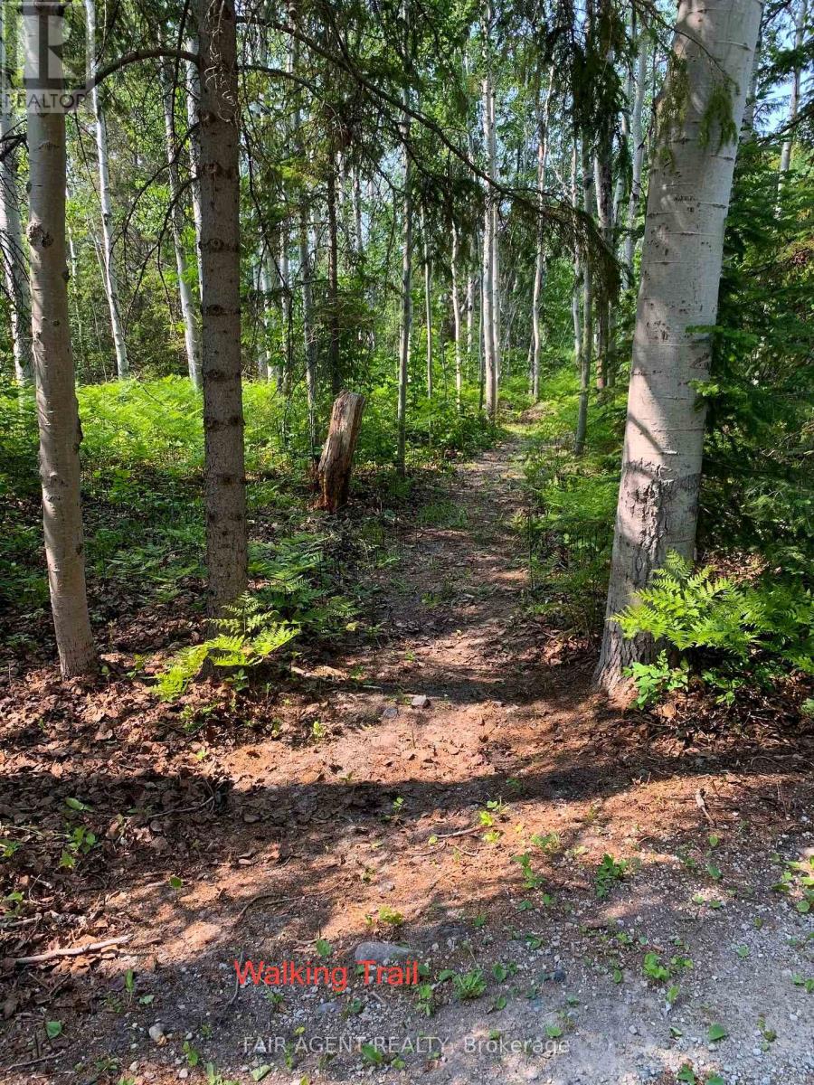 975140 Silver Centre Road, Temiskaming Shores (Haileybury), Ontario  P0J 1R0 - Photo 33 - T12383362