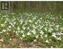 .. BRIDGE STREET W, Greater Napanee, Ontario