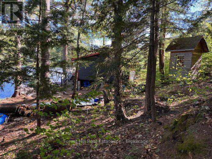 1293 Causeway Drive, Algonquin Highlands, Ontario  P0A 1E0 - Photo 26 - X12383469