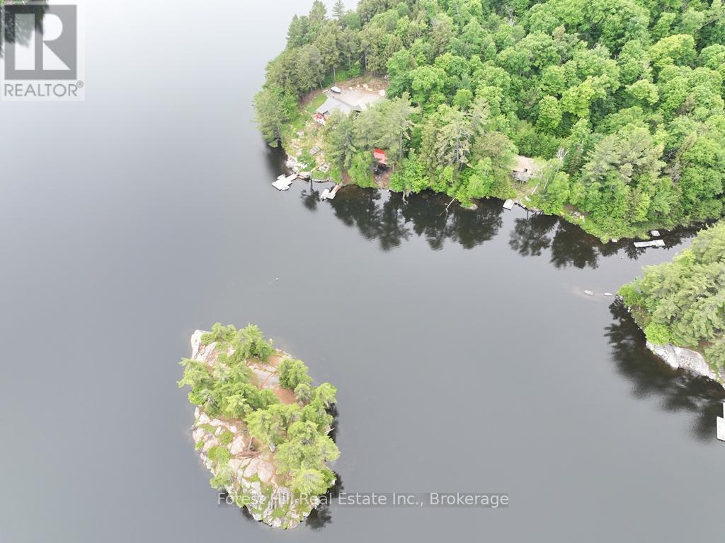 1293 Causeway Drive, Algonquin Highlands, Ontario  P0A 1E0 - Photo 8 - X12383469