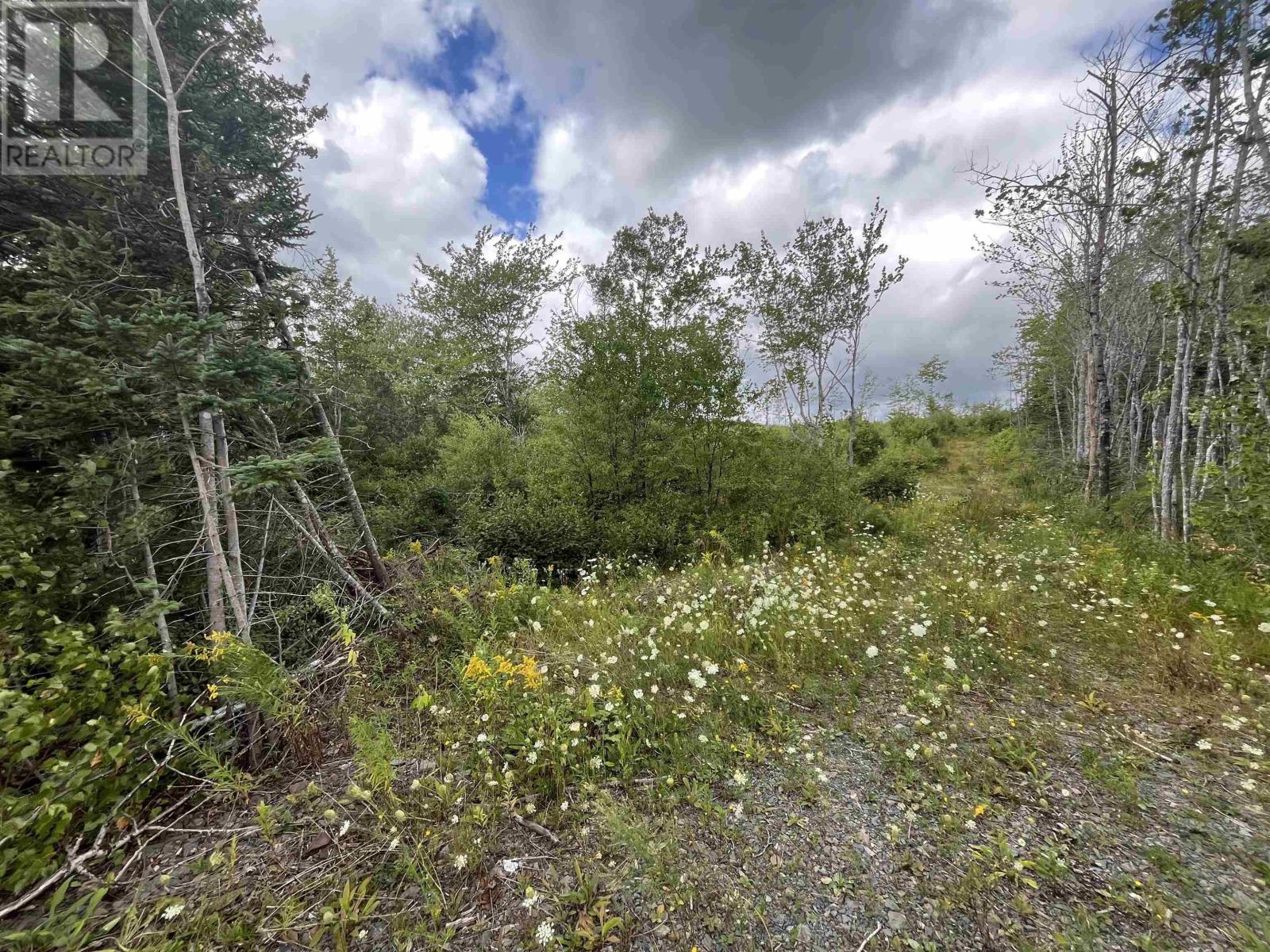 313 Mark Road, Riverton, Nova Scotia  B0K 1S0 - Photo 8 - 202522477