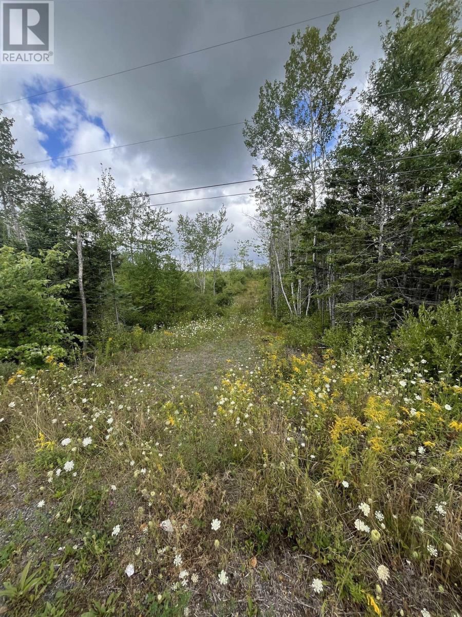 313 Mark Road, Riverton, Nova Scotia  B0K 1S0 - Photo 4 - 202522477