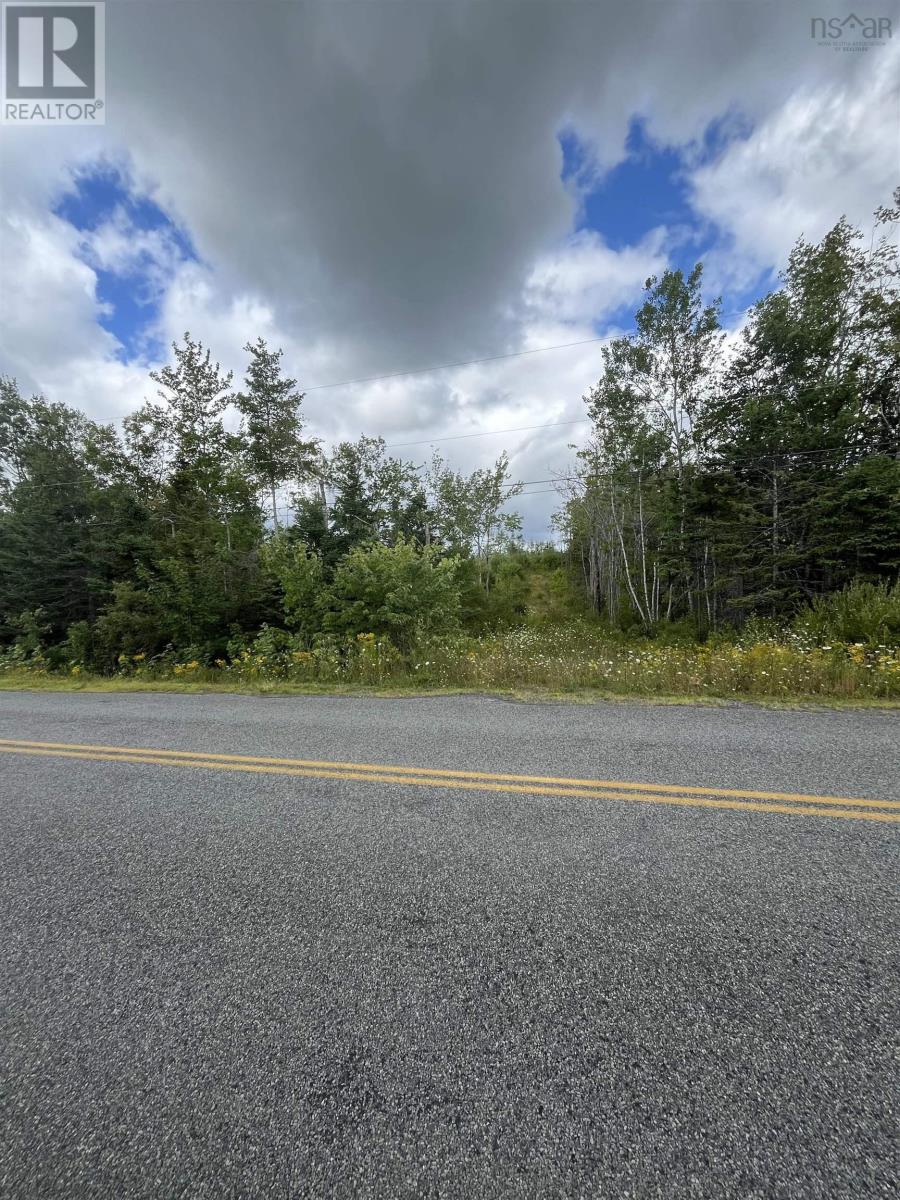 313 Mark Road, Riverton, Nova Scotia  B0K 1S0 - Photo 3 - 202522477