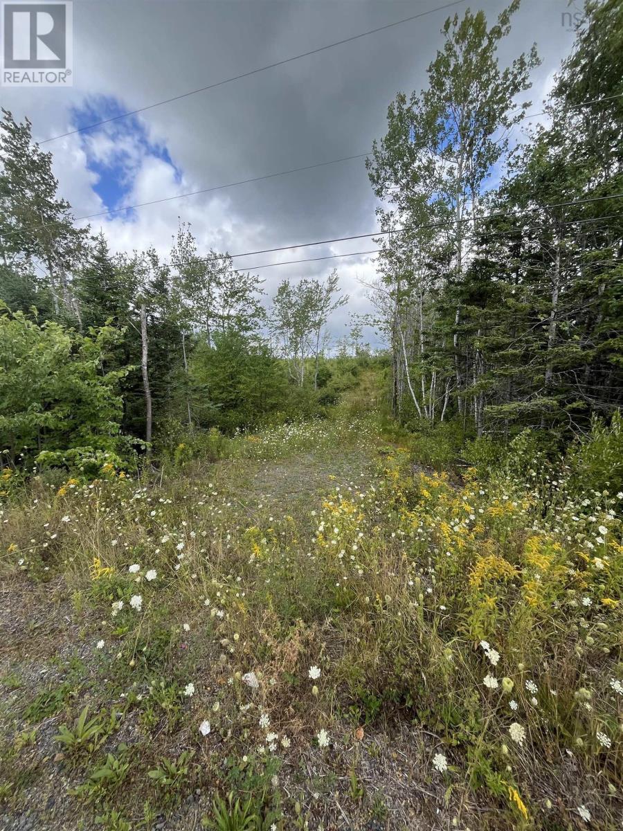 313 Mark Road, Riverton, Nova Scotia  B0K 1S0 - Photo 9 - 202522477