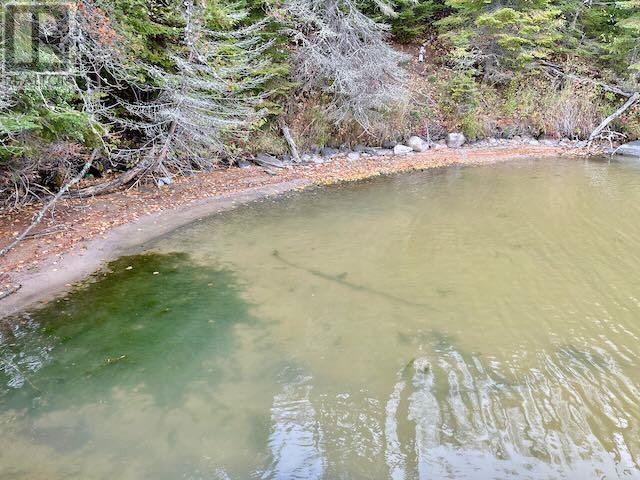 319/321 Parker Point Rd, Dryden, Ontario  P8N 2Y5 - Photo 30 - TB251131
