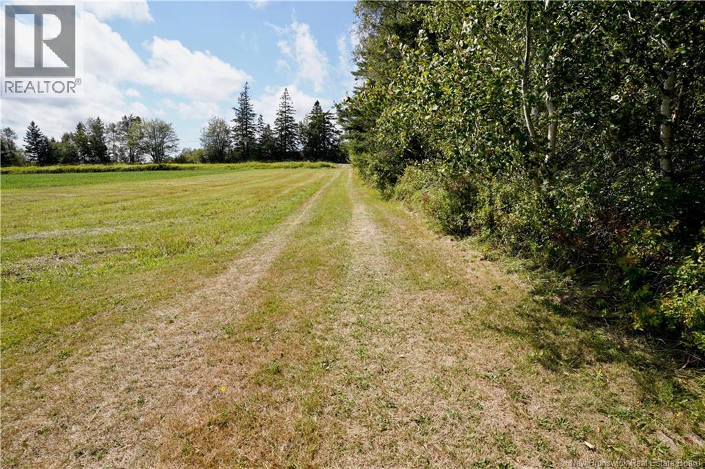 Lot Johnston Point Road, Johnston Point, New Brunswick  E4M 1P3 - Photo 25 - NB125947