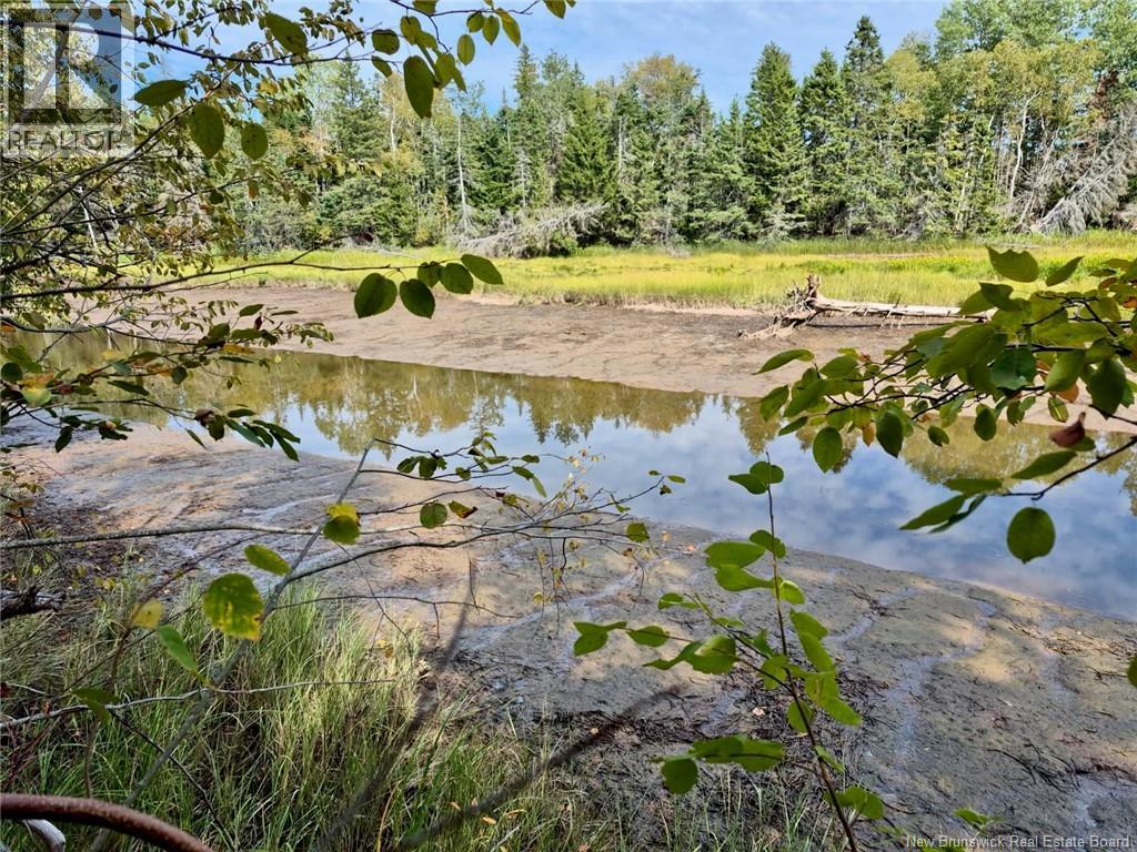 Lot Johnston Point Road, Johnston Point, New Brunswick  E4M 1P3 - Photo 34 - NB125947