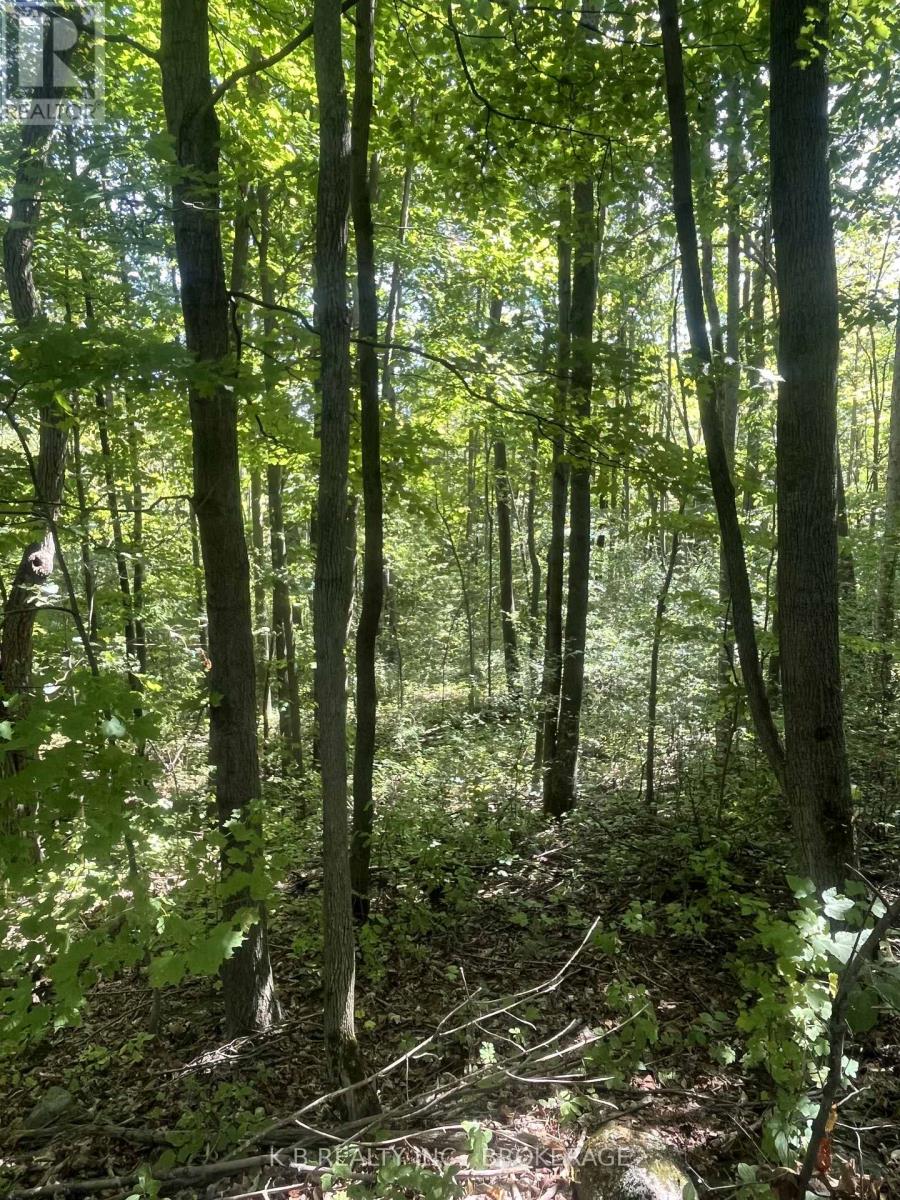 15598 County Road 2 Road, Brighton, Ontario  K0K 1H0 - Photo 20 - X12378149