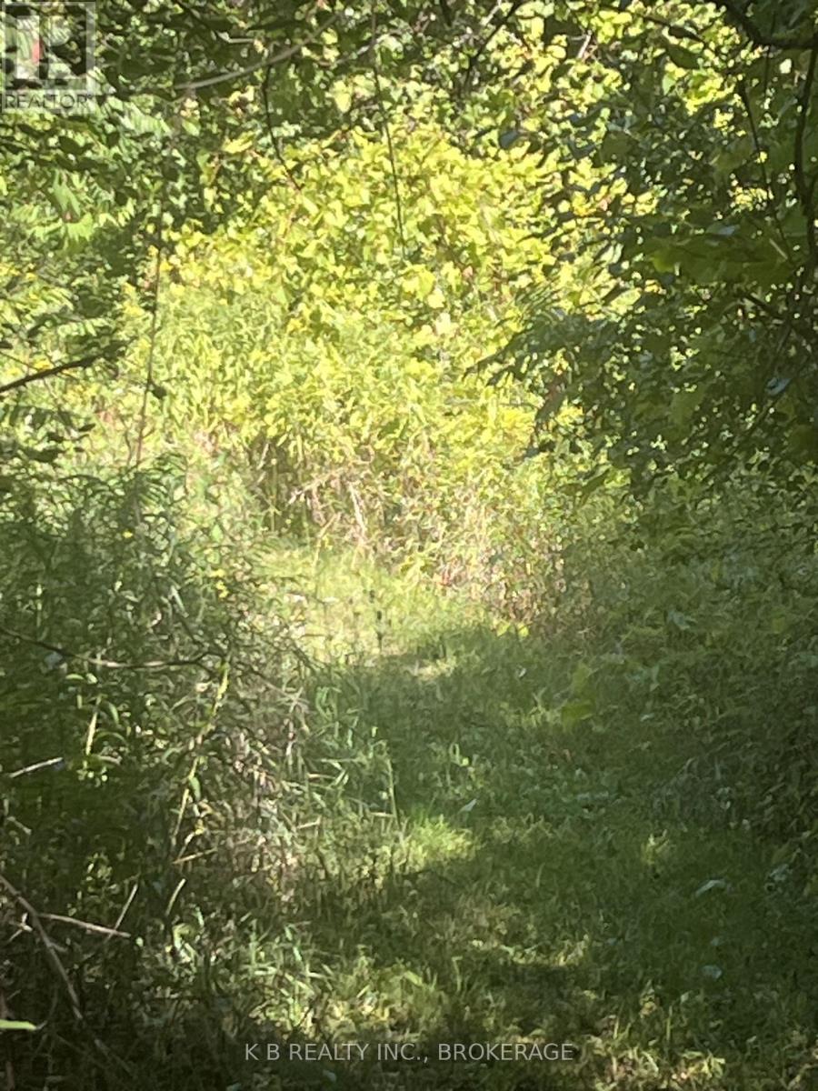 15598 County Road 2 Road, Brighton, Ontario  K0K 1H0 - Photo 17 - X12378149