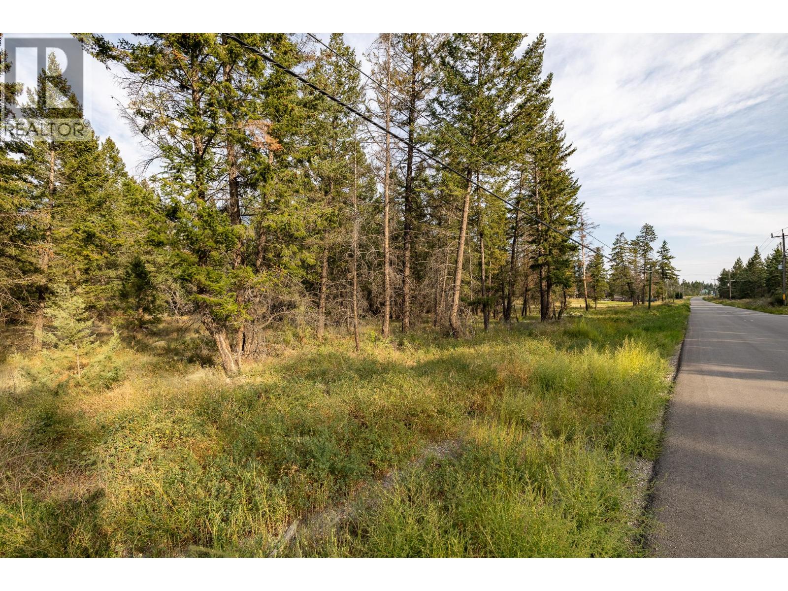 Lot B Columbia Lake Road, Fairmont Hot Springs, British Columbia  V0B 1L2 - Photo 14 - 10335403