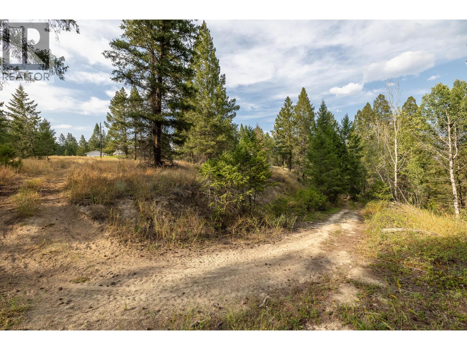 Lot B Columbia Lake Road, Fairmont Hot Springs, British Columbia  V0B 1L2 - Photo 6 - 10335403