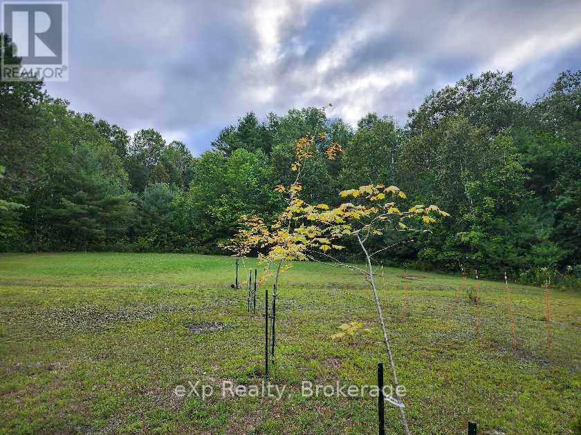 62 Highway 124, Mcdougall, Ontario  P2A 2W9 - Photo 30 - X12383851