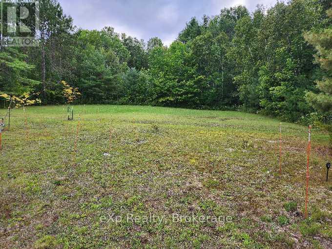 62 Highway 124, Mcdougall, Ontario  P2A 2W9 - Photo 38 - X12383851