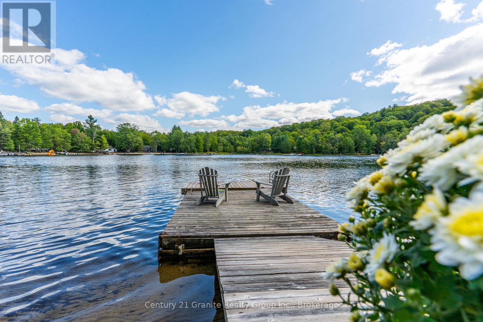 1291 Shanahan Trail, Minden Hills, Ontario  K0M 2K0 - Photo 5 - X12371942