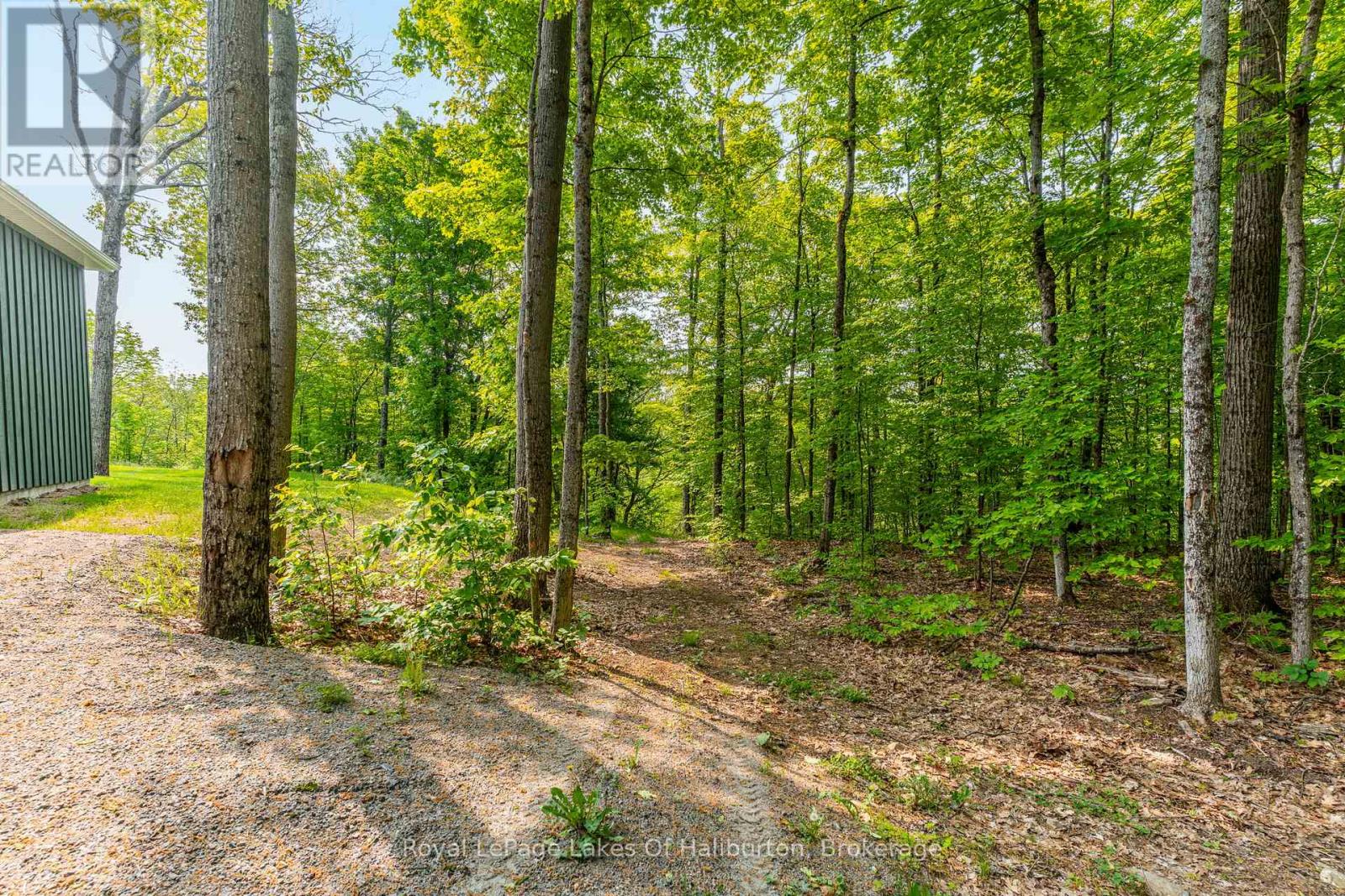 1143 Trillium Trail, Dysart Et Al, Ontario  K0M 1S0 - Photo 39 - X12383984