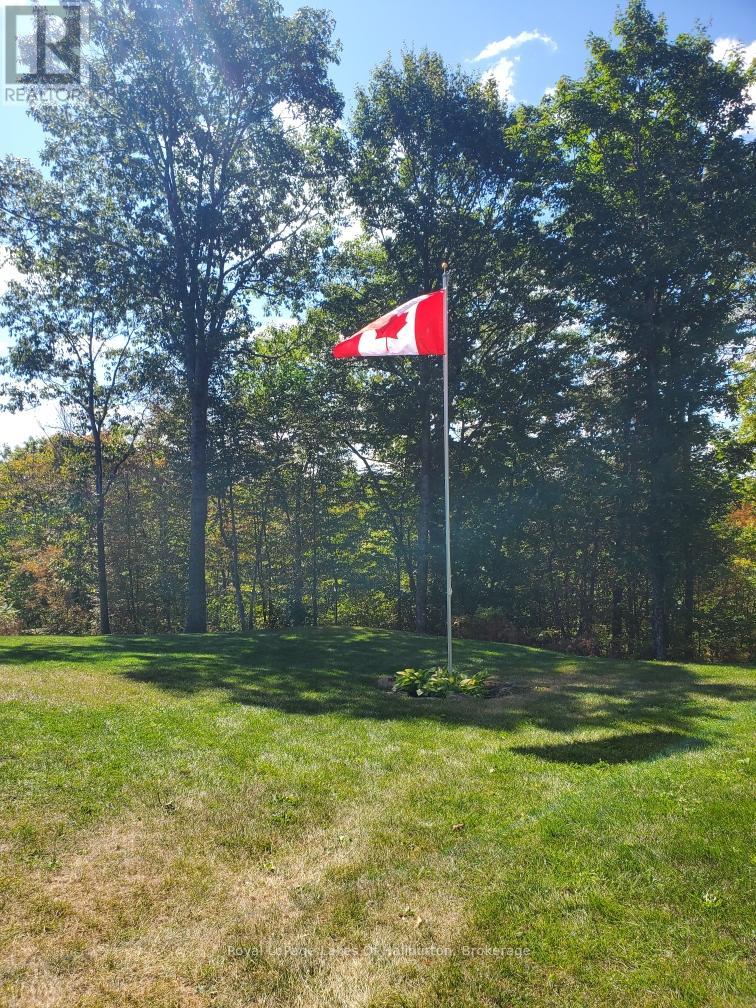 1143 Trillium Trail, Dysart Et Al, Ontario  K0M 1S0 - Photo 5 - X12383984