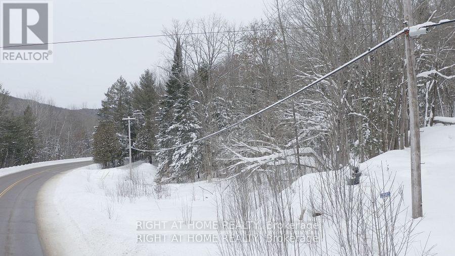 22382 Highway 35 Highway, Lake Of Bays, Ontario  P0A 1E0 - Photo 10 - X12383818