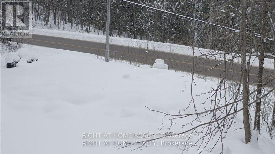 22382 Highway 35 Highway, Lake Of Bays, Ontario  P0A 1E0 - Photo 11 - X12383818