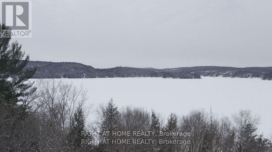22382 Highway 35 Highway, Lake Of Bays, Ontario  P0A 1E0 - Photo 13 - X12383818