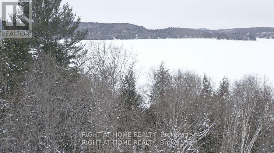 22382 Highway 35 Highway, Lake Of Bays, Ontario  P0A 1E0 - Photo 14 - X12383818